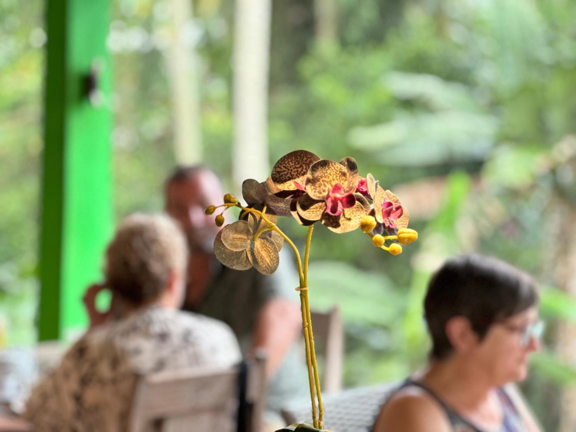Dupa Ubud Εξωτερικό φωτογραφία