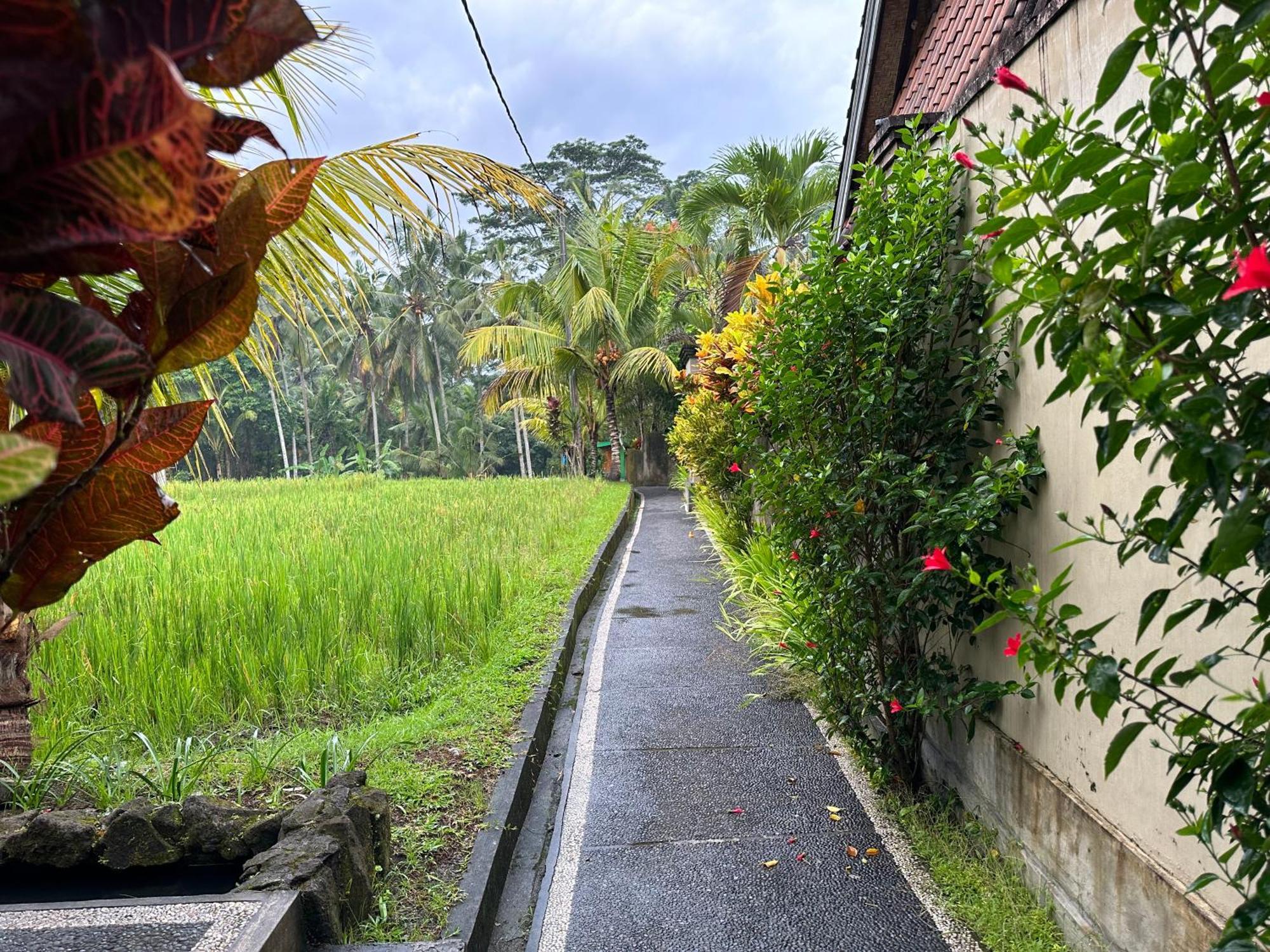 Dupa Ubud Εξωτερικό φωτογραφία