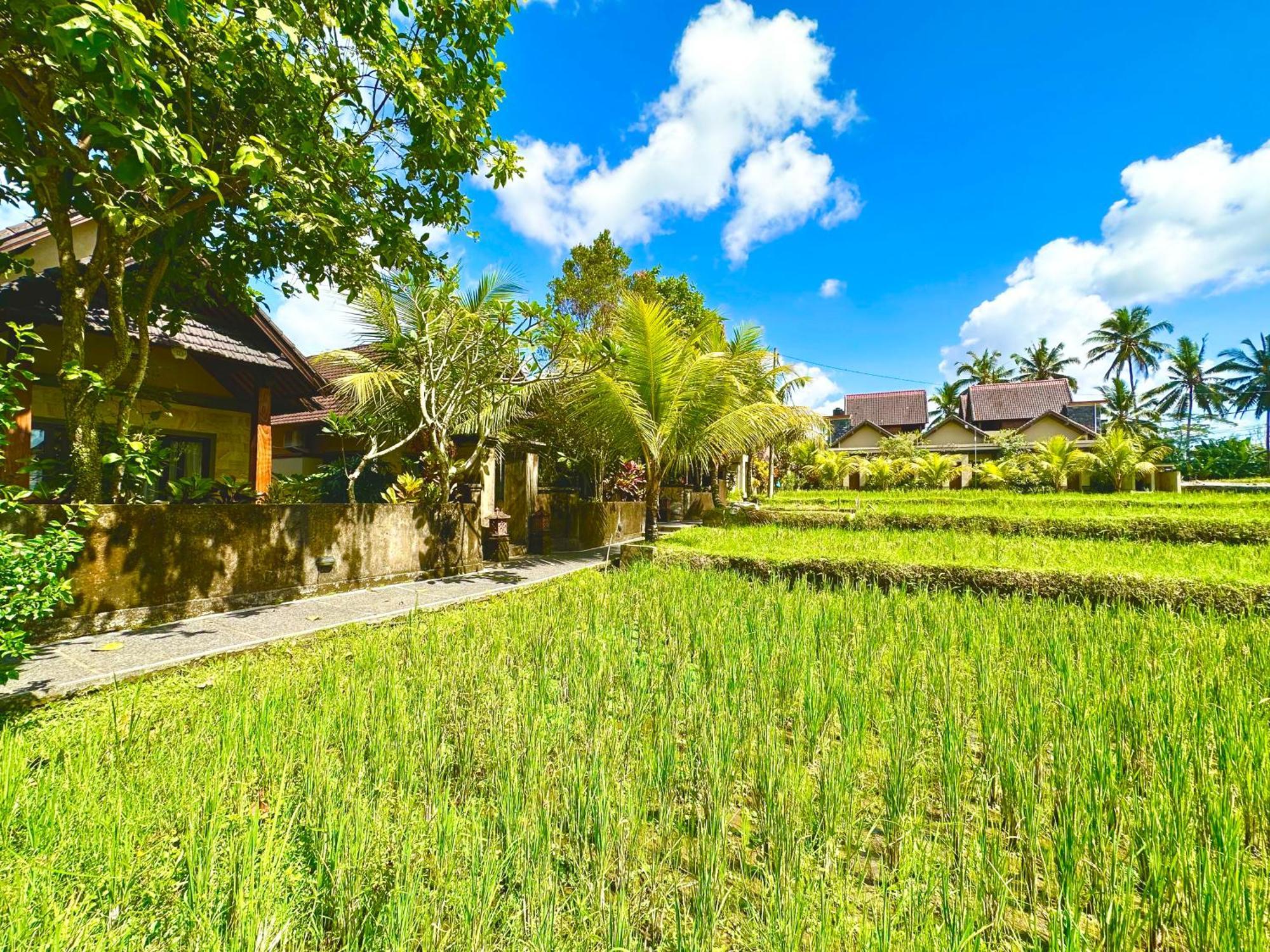 Dupa Ubud Εξωτερικό φωτογραφία